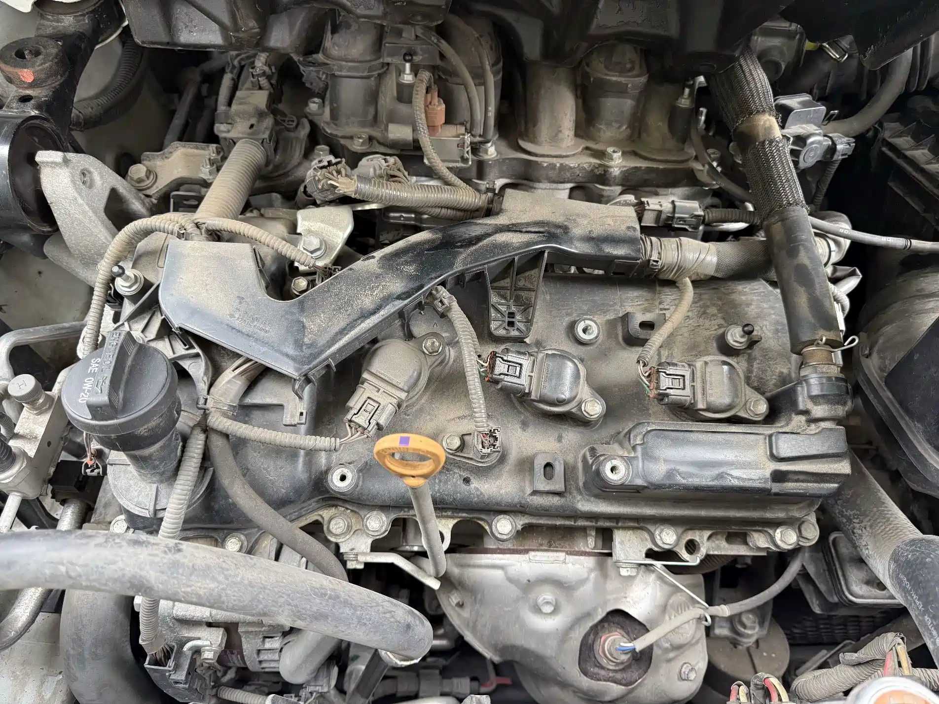 صورة 3 - Toyota Sienna