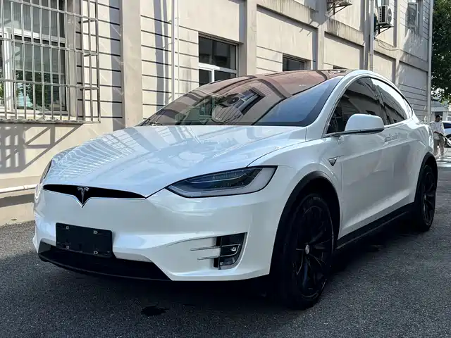Tesla Model X 2019