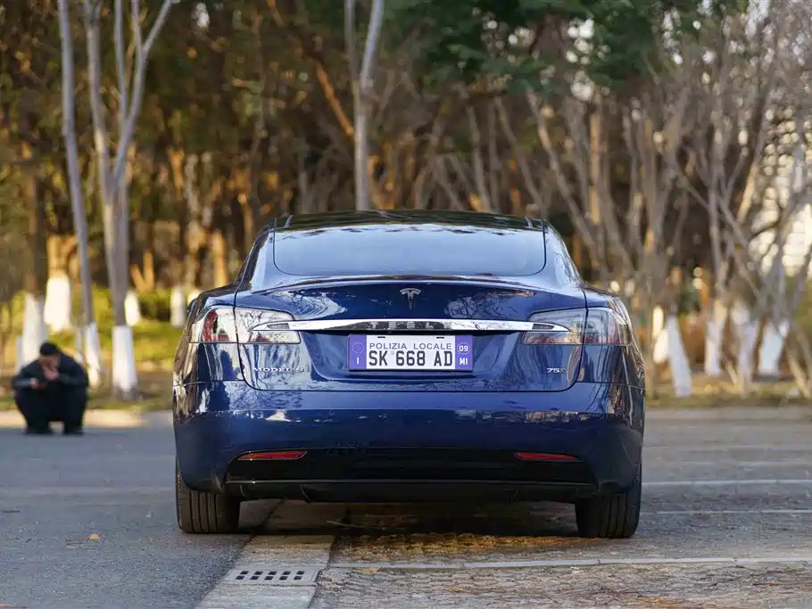 TESLA MODEL S