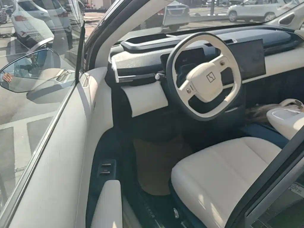 ZEEKR X 2024 2025 5-Seater Long Range Edition