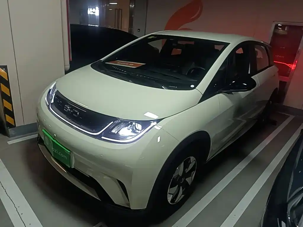Photo 2 - BYD Dolphin
