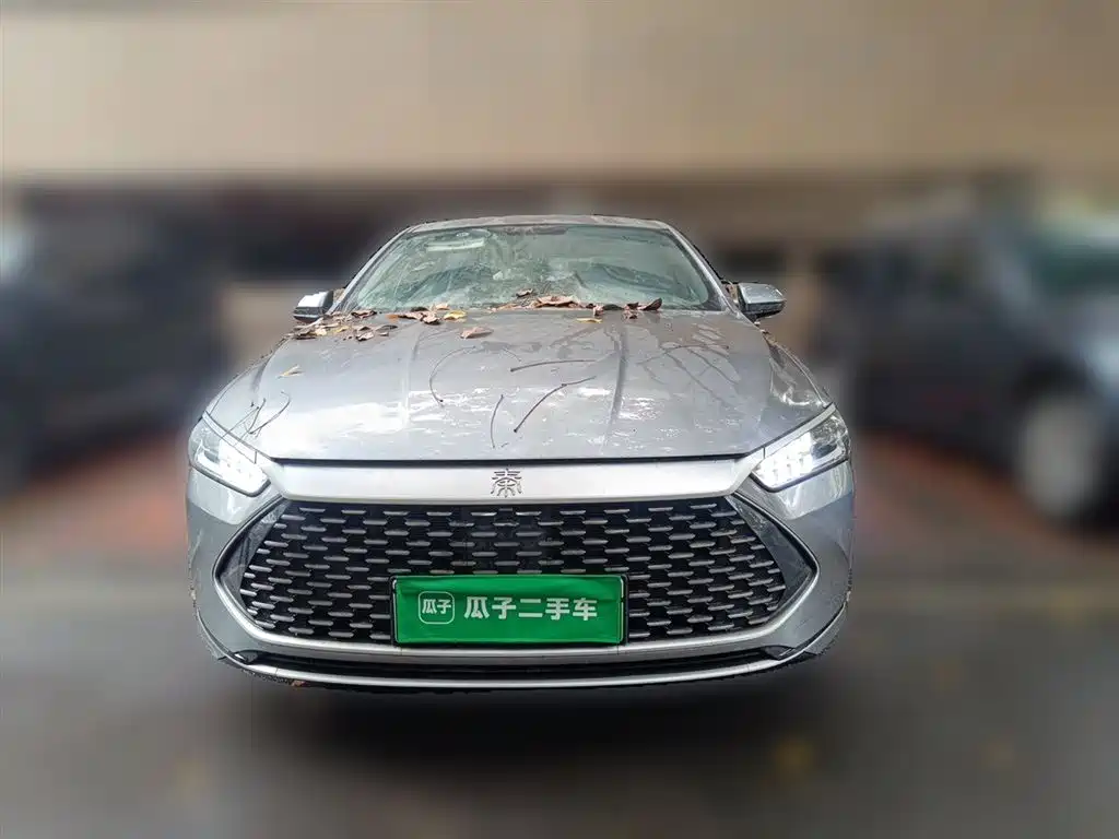 BYD Qin PLUS 2023 Champion Edition DM-i 55KM Leading фото 2