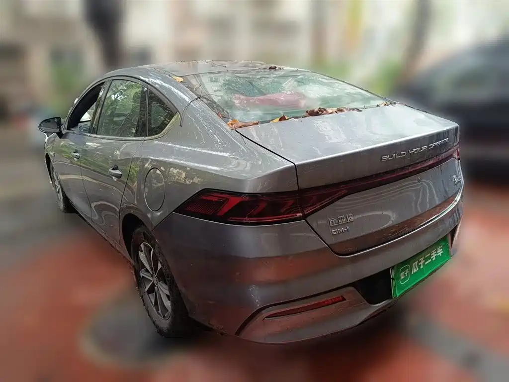 BYD Qin PLUS 2023 Champion Edition DM-i 55KM Leading фото 4