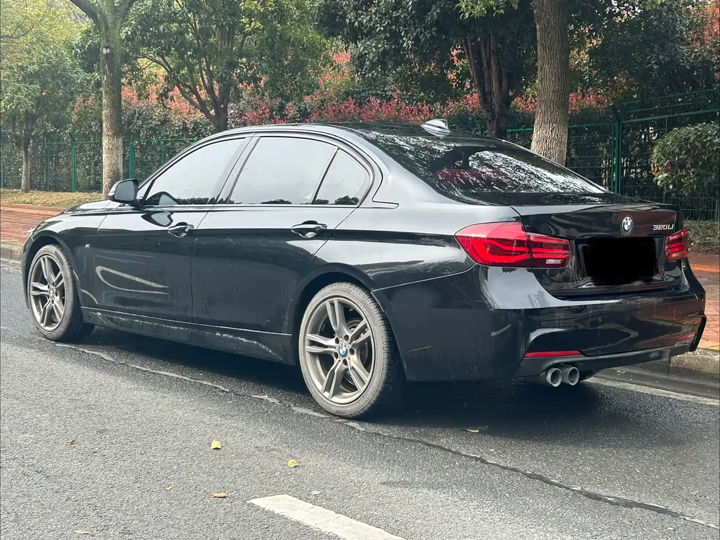 BMW 3 Series 2019 320Li M Sport Black Night Edition фото 8