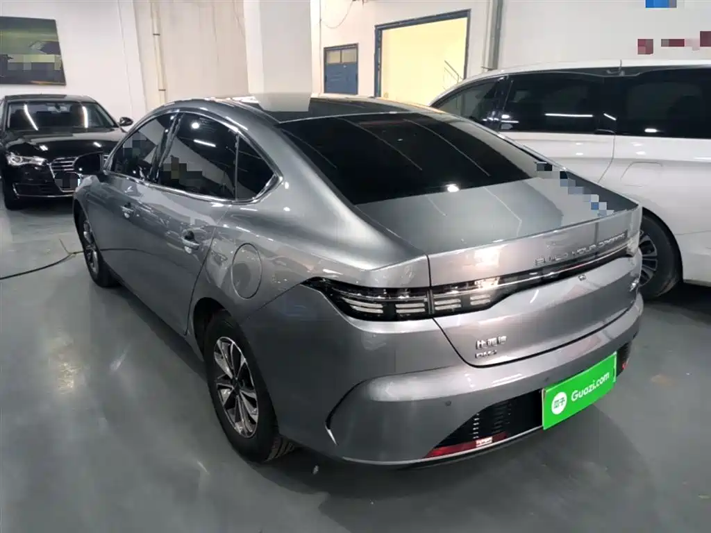 BYD Destroyer 05 2024 Glory Edition DM-i 55KM Luxury фото 5