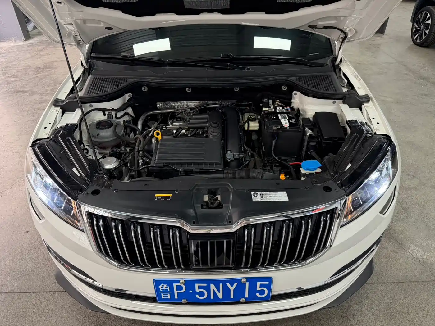 Škoda Karoq 2022 TSI280 Luxury Edition фото 18