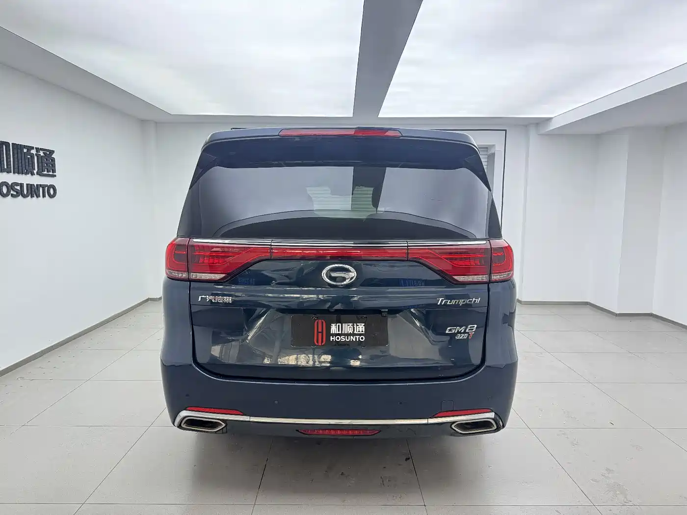 GAC Trumpchi Trumpchi M8 2018 320T Premium Edition фото 8