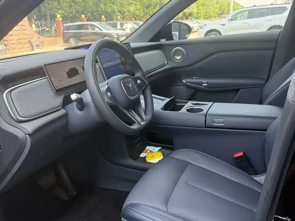 Voyah Auto Voyah Zhiyin 2025 Base фото 4