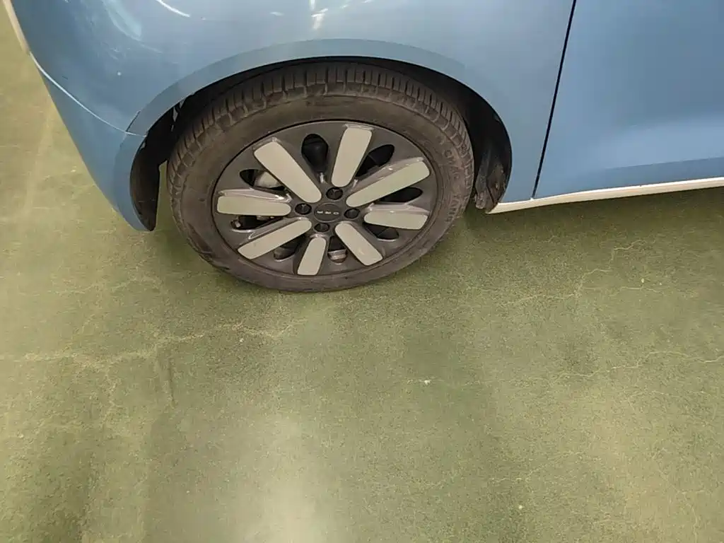 Ora Black Cat 2021 2021 351km Standard Model