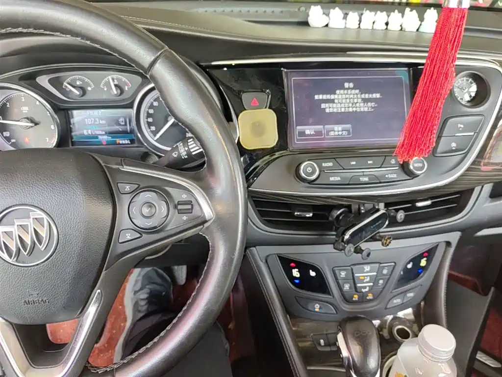 Buick Envision Plus 2018 20T 2WD Elite фото 13