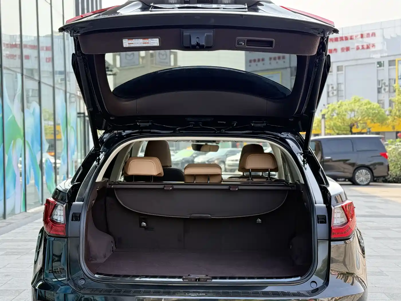 Lexus RX 2016 300 4WD Elegance Edition (China V) фото 19