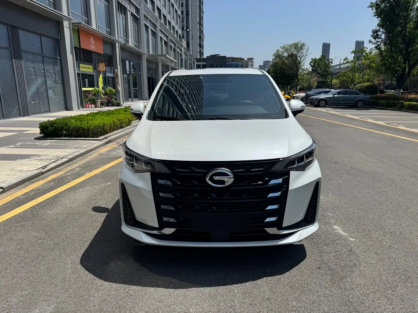 GAC Trumpchi Trumpchi M6 2023 PRO 270T DCT Luxury Edition фото 2