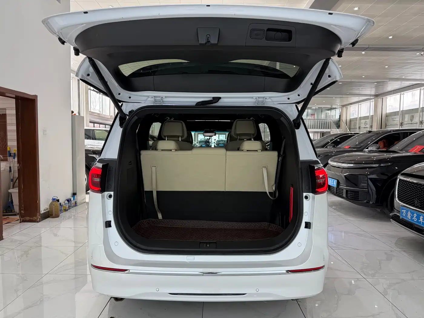 Buick GL8 2022 ES Landmark 653T Luxury фото 22