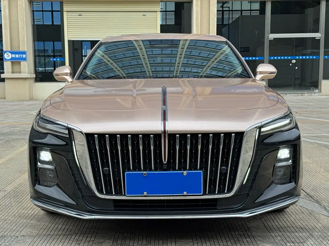 Hongqi H5 2023 2.0T Auto Smart Connect Flag Comfort фото 2