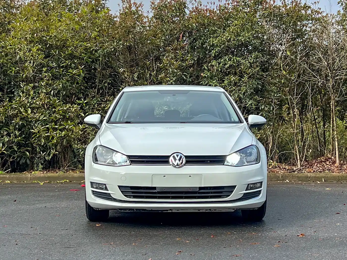 Volkswagen Golf 2016 1.6L Automatic Fashion фото 2