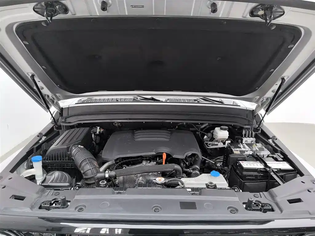 TANK CO CREATION TANK 300