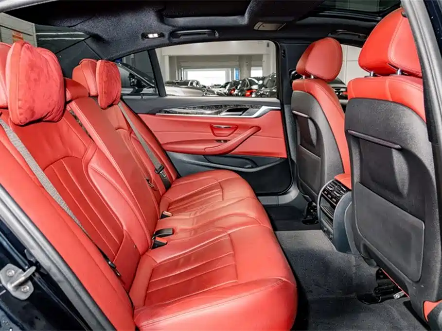 BMW 5 Series 2019 530Li Leading M Sport Package фото 21