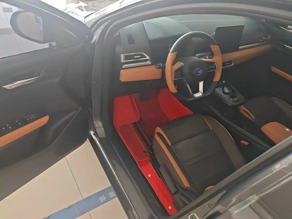 BYD e2 2021 2021 Luxury Edition