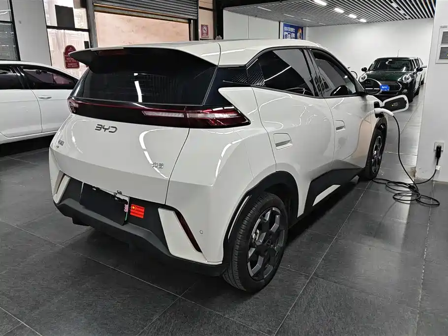 BYD Seagull 2025 305km Freedom фото 3