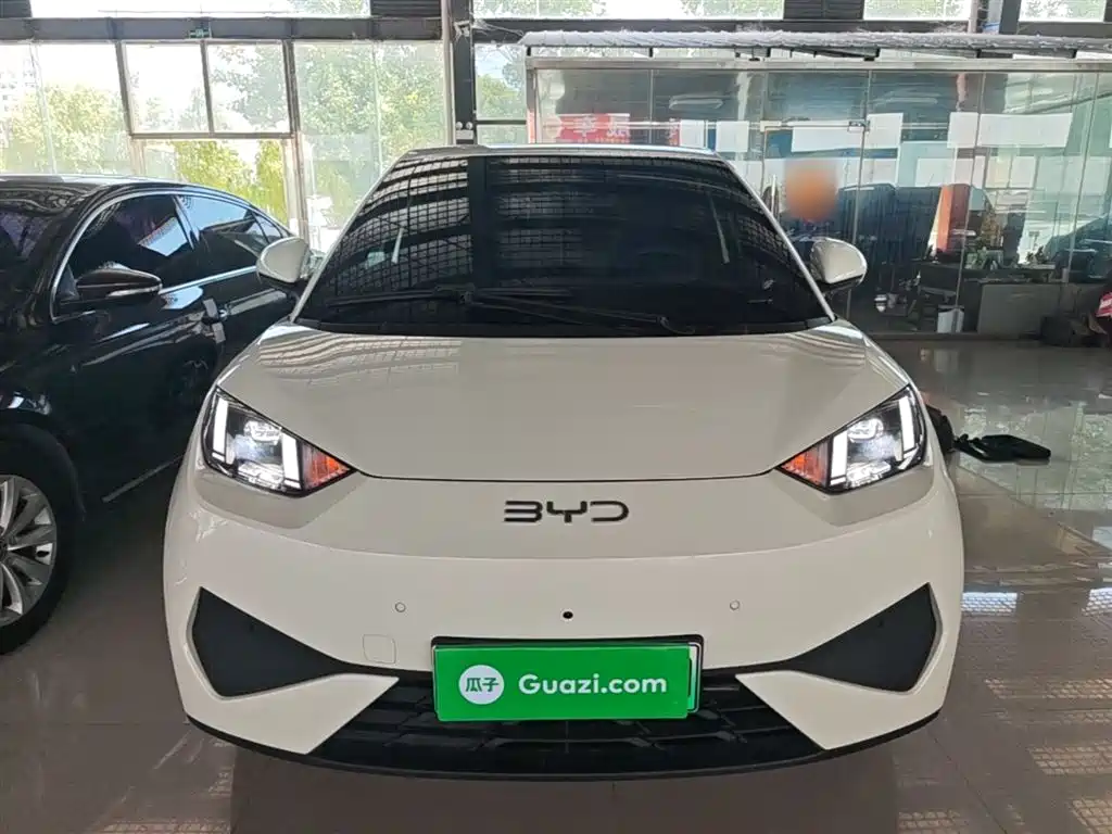 BYD Seagull 2025 Smart Drive Edition 305km Freedom Version фото 3