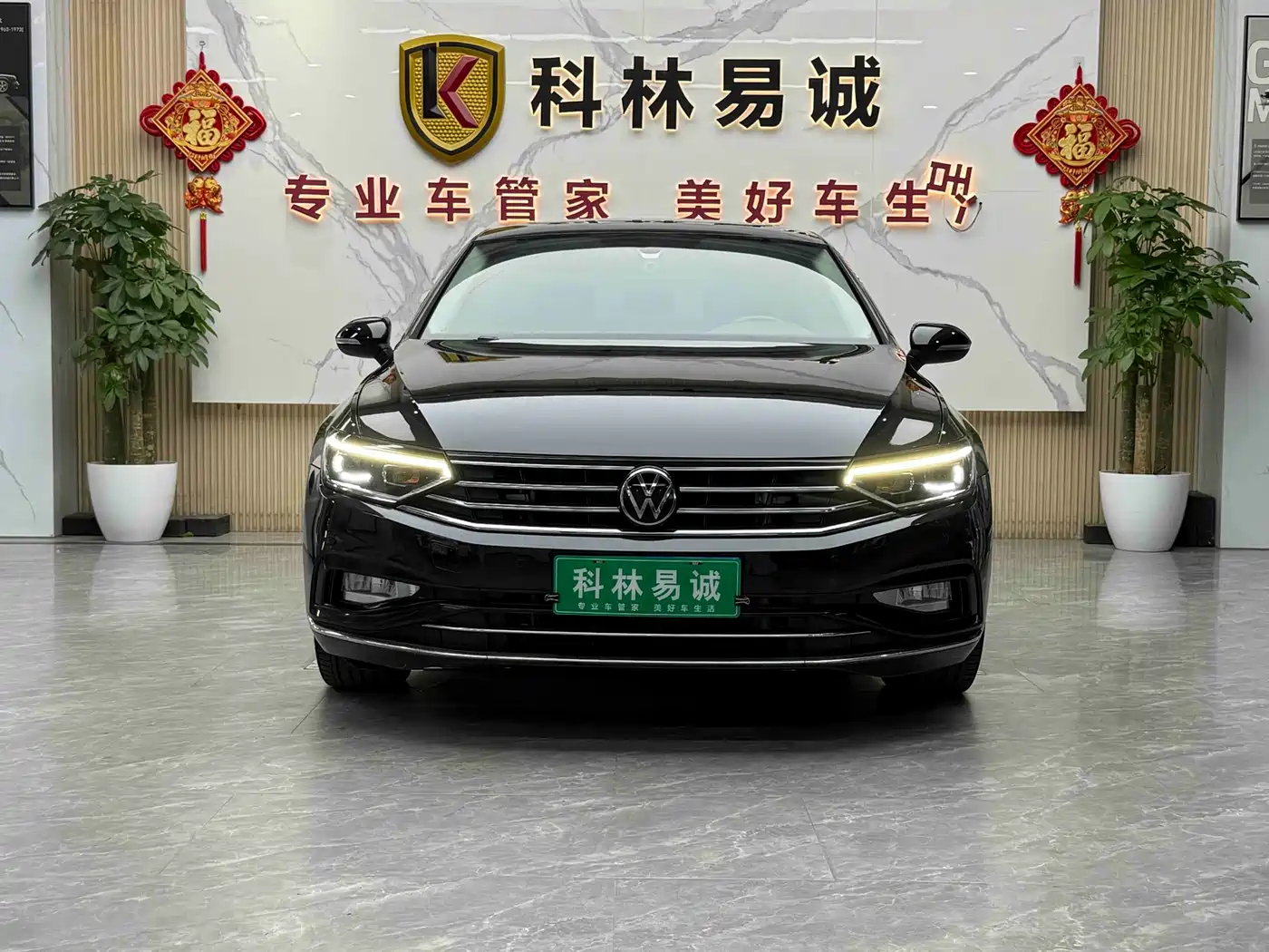 Volkswagen Magotan 2020 330TSI DSG Luxury фото 2