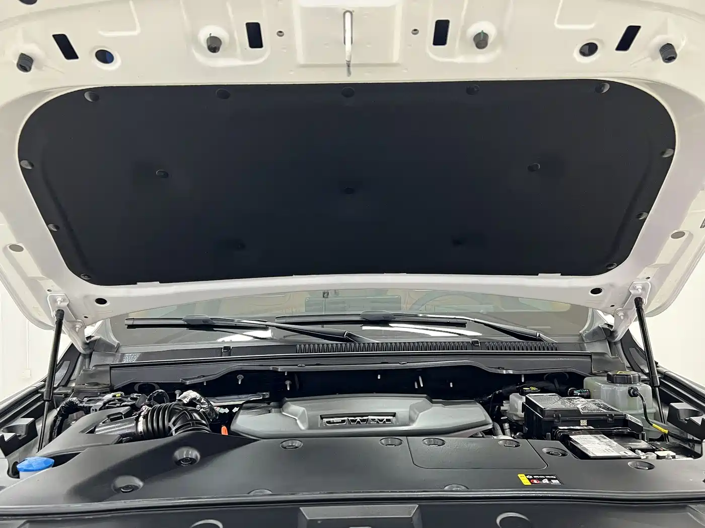 Tank 500 EV 2025 2024 Hi4-T