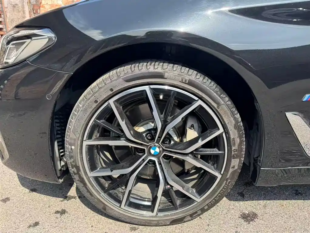 BMW 5 Series 2021 530Li Premium M Sport Package фото 6