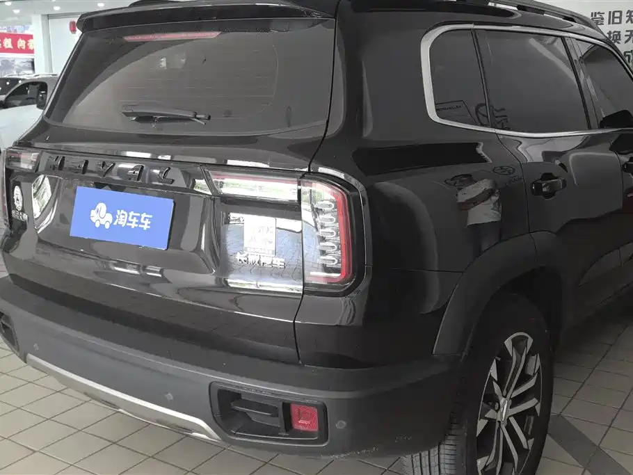 Haval Big Dog 2021 1.5T DCT 2WD Border Collie - Wangcai Edition фото 3