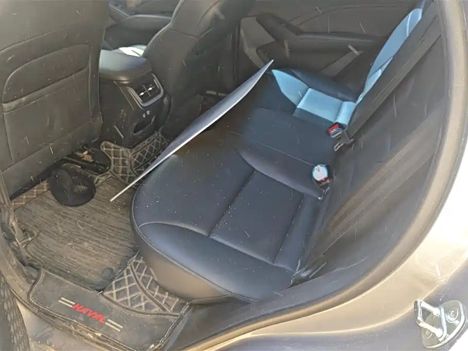 Haval Xiaolong MAX 2023 1.5L Hi4 105 4WD Elite Edition фото 11