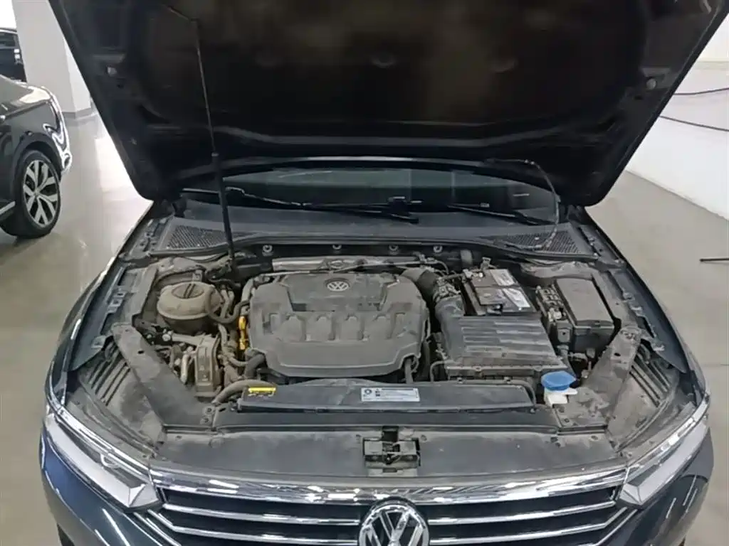 Volkswagen Magotan 2019 330TSI DSG Leading China V фото 20