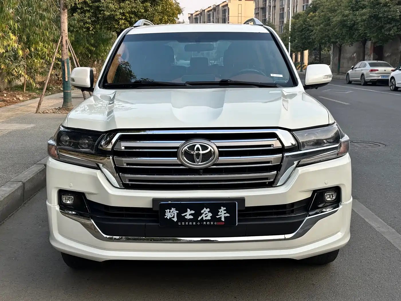 Toyota Land Cruiser (Import) фото 2