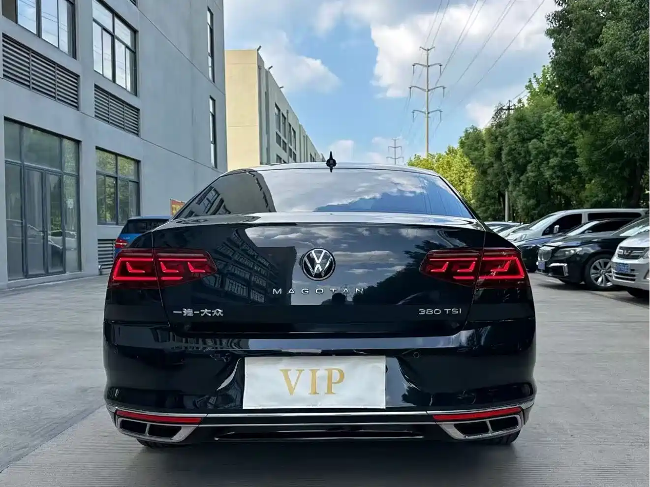 Volkswagen Magotan 2024 2024 2 Million Units Public Sharing Edition 330TSI DSG Luxury