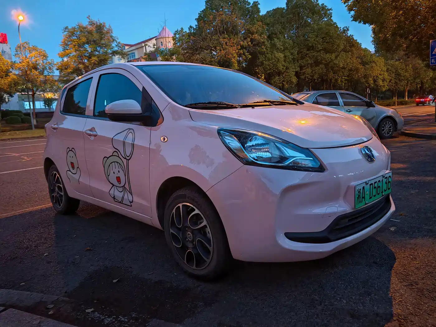 Changan Benben E-Star 2022 2021 National Edition Heartjoy (Quick Charge) NCM