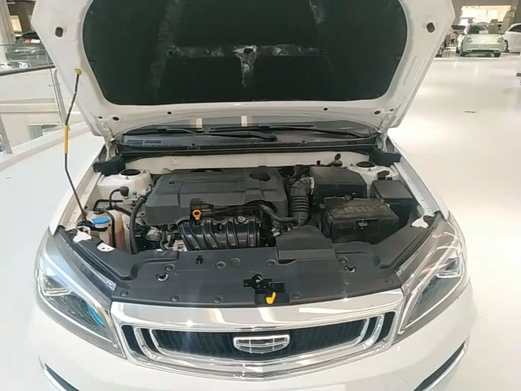 Фото 20 - Geely Emgrand