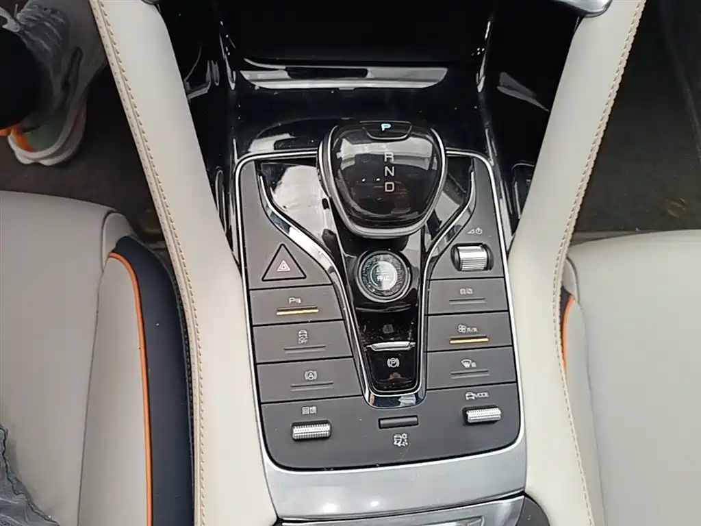 BYD Song PLUS PHEV 2021 EV Premium Model фото 14