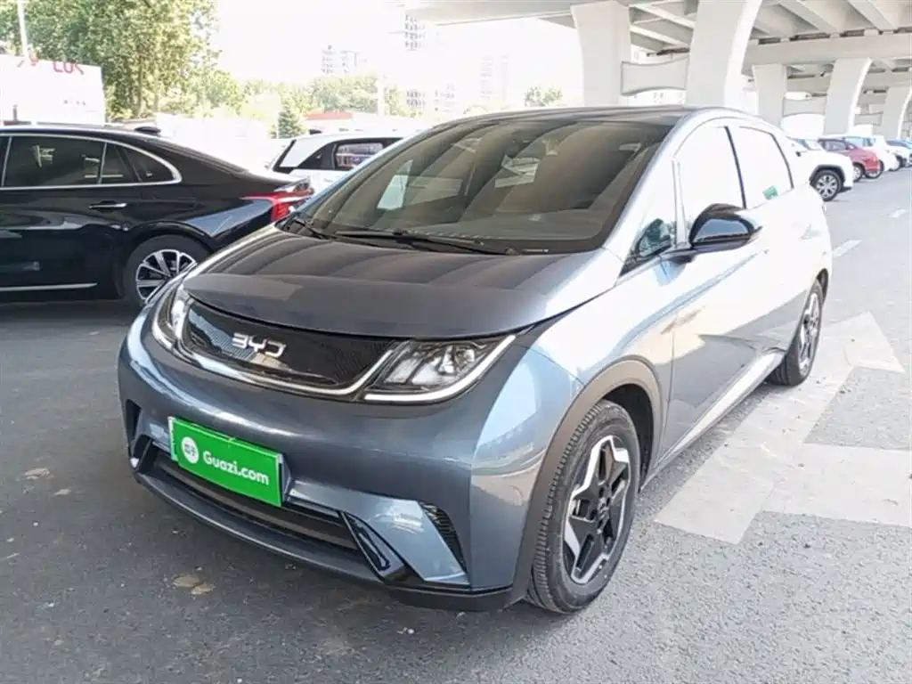 BYD Dolphin 2025 420km Vitality Edition