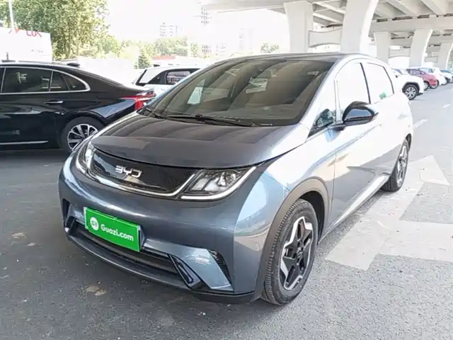 BYD Dolphin 420km, Энергия
