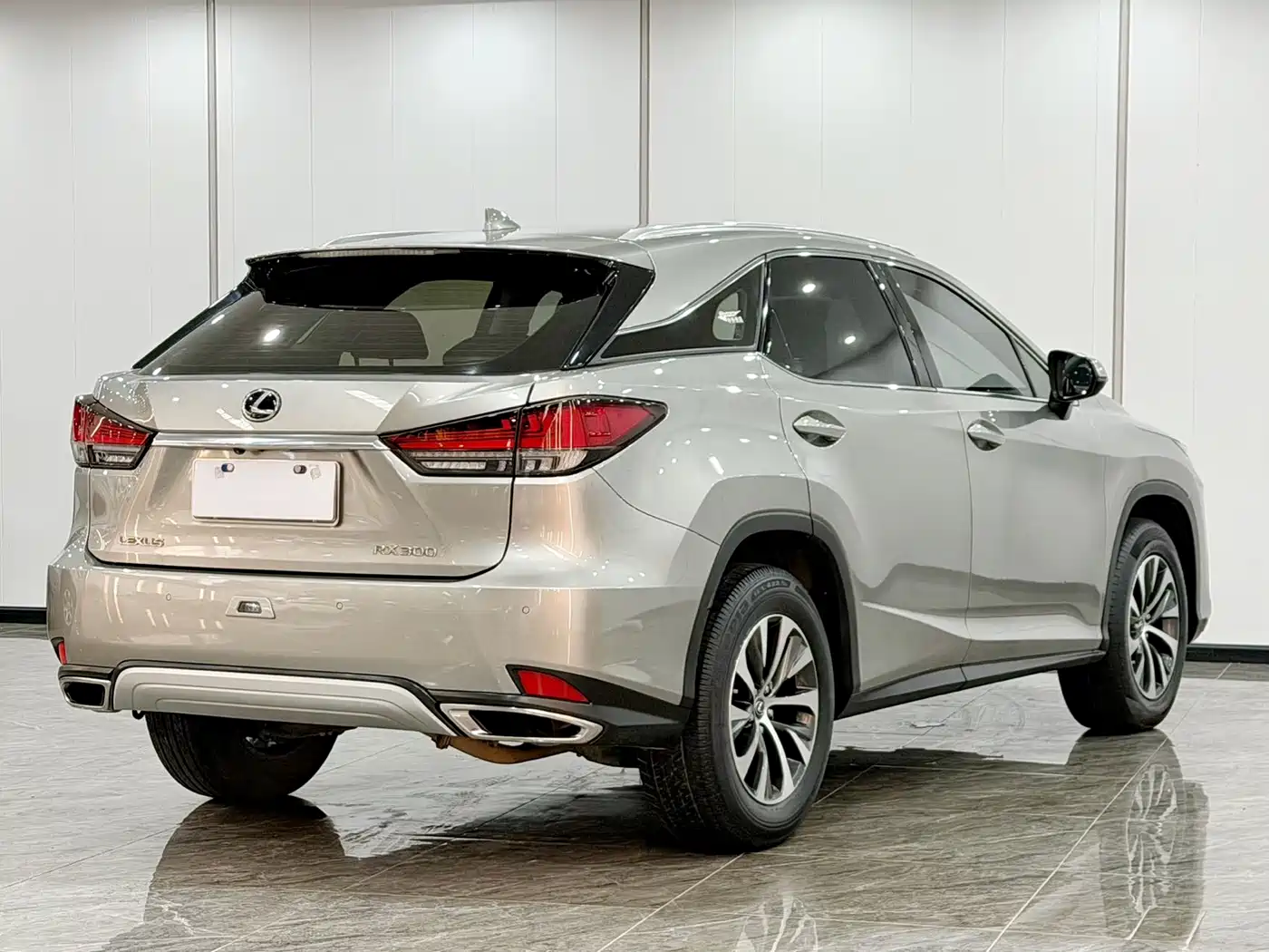 Photo 6 - Lexus RX