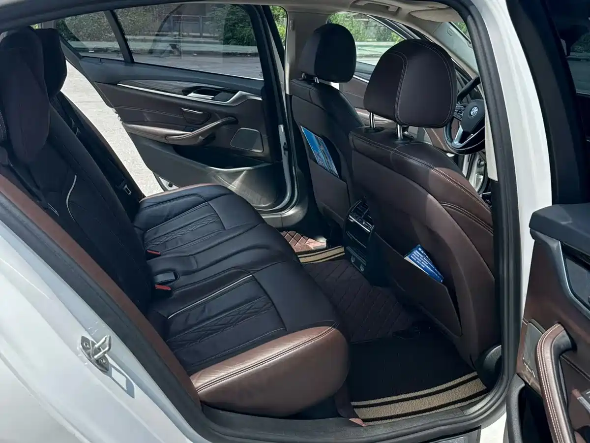 BMW 5 Series 2018 530Li Leading Luxury Package фото 9