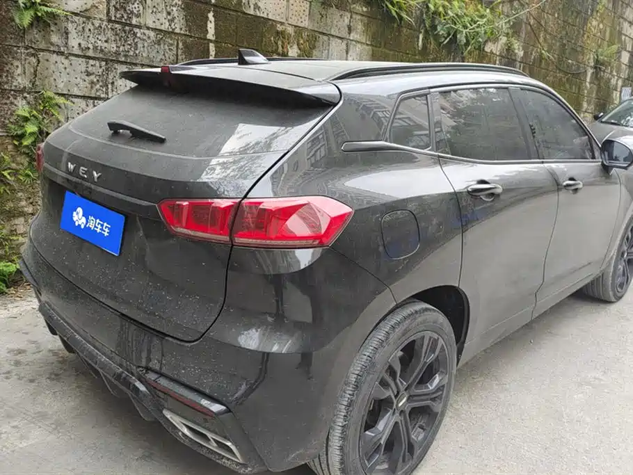 WEI PAI WEI BRAND VV7