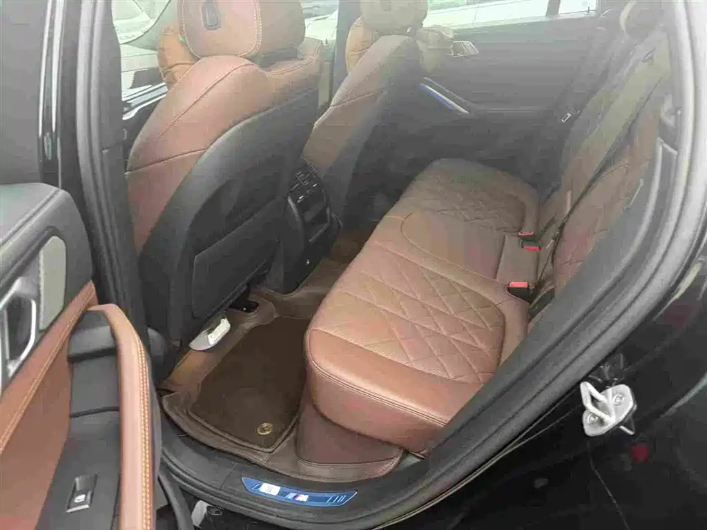 2026 BMW X6