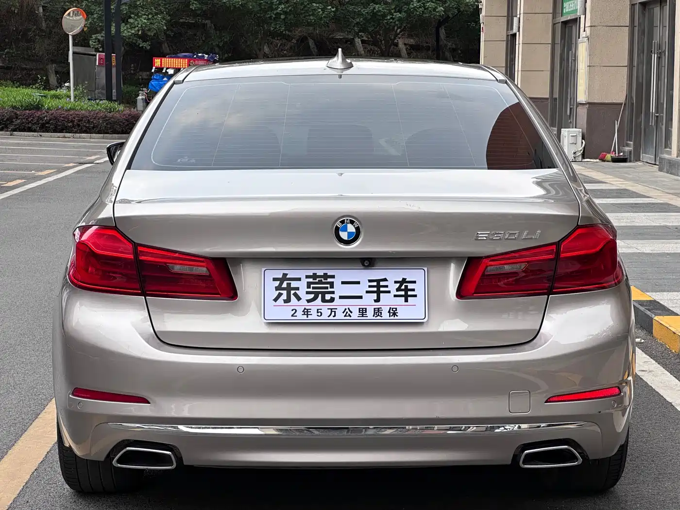 BMW 5 Series 2019 530Li Leading Luxury Package фото 12