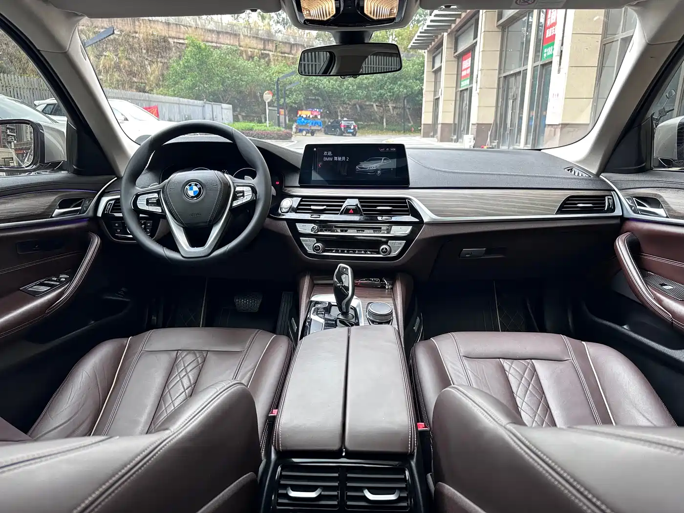 BMW 5 Series 2019 530Li Leading Luxury Package фото 13