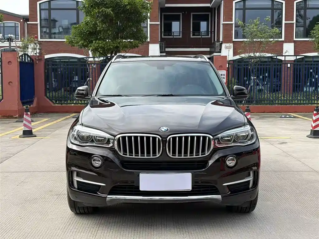 BMW X5 (Import) 2014 xDrive35i Leading фото 2