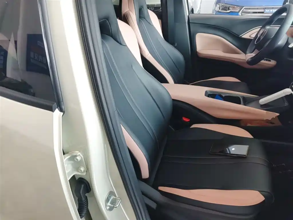 BYD Seagull 2025 Smart Drive Edition 305km Vitality Version фото 25