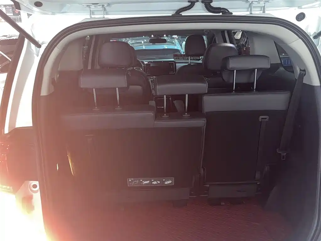 GAC Trumpchi Trumpchi M8 2023 Leading Series 390T Premium Edition фото 16