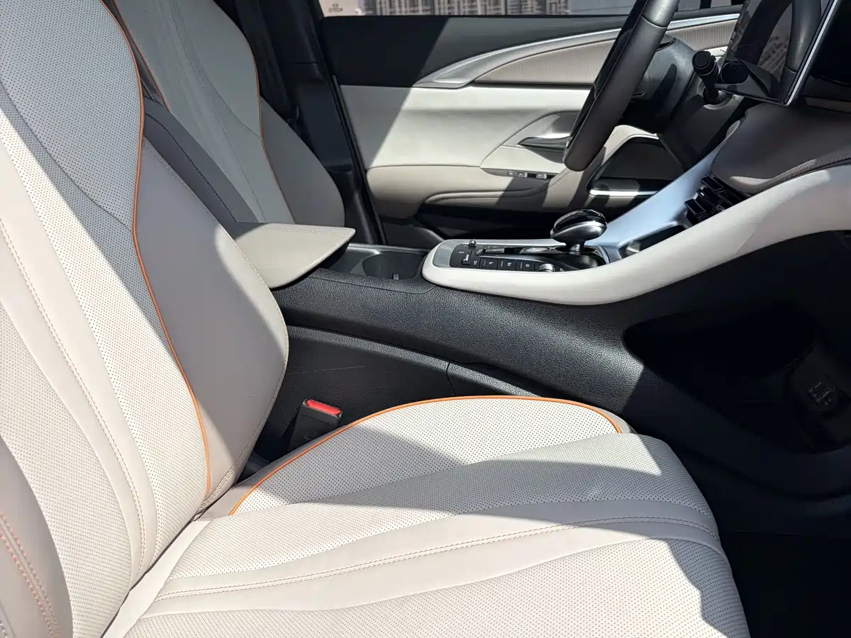 BYD Song Pro New Energy 2023 Champion Edition DM-i 110KM Excellence фото 9