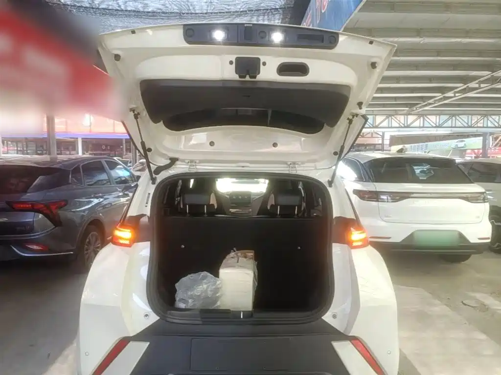 BYD Seagull 2023 Freedom Edition фото 19