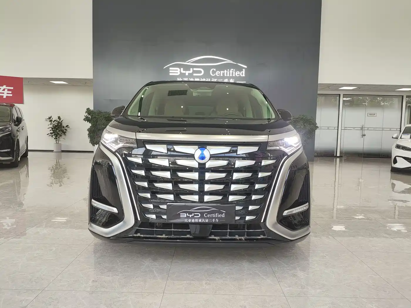 Denza D9 2024 DM-i 980 AWD Prestige фото 2