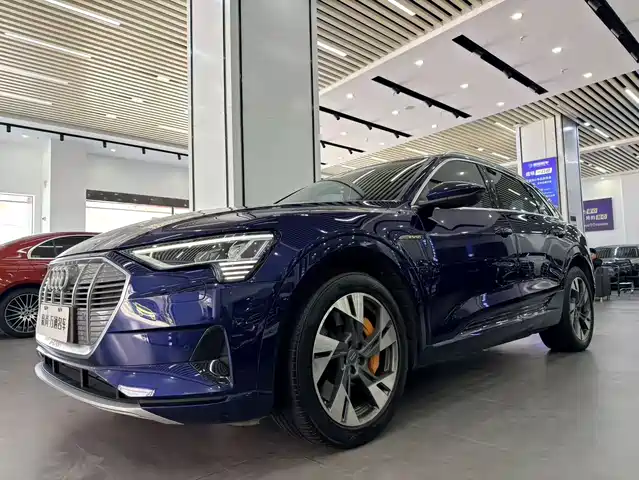 AUDI E-TRON (IMPORTED) 2020